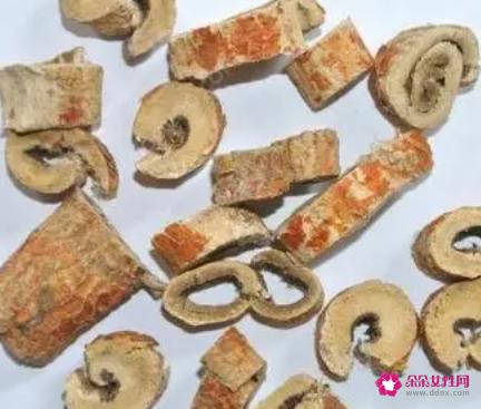 桑白皮的功效与作用与主治