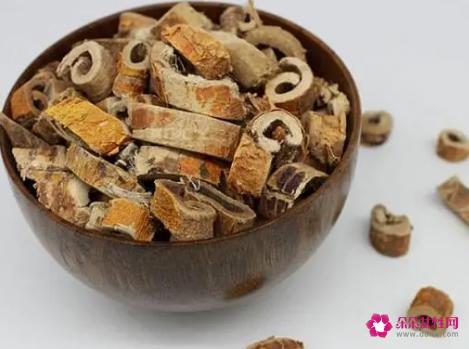 桑白皮的功效与作用与主治