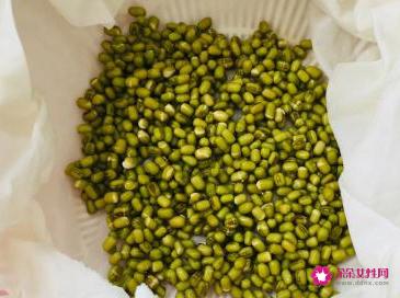 豆芽的发芽方法