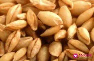 高纤维食物排行一览表