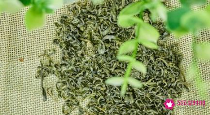 绿茶的功效和作用有什么
