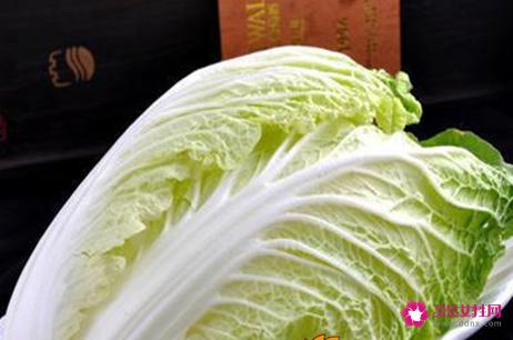 大白菜的营养价值及功效
