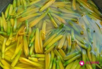 鲜黄花菜正确吃法