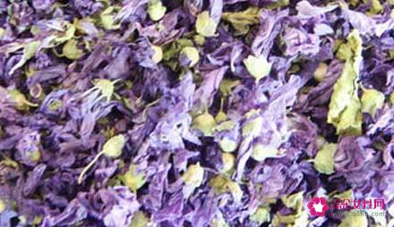 紫罗兰花茶的功效与作用