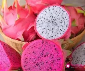 红心火龙果和白心火龙果的区别是什么