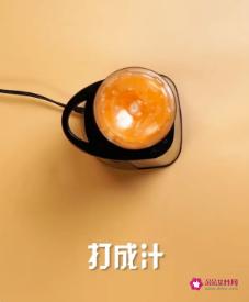 胡萝卜和苹果一起榨汁的方法