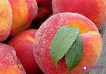 水蜜桃的功效与作用有什么