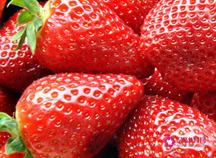 草莓酒的功效与作用