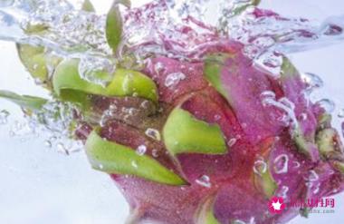 火龙果是凉性的水果吗