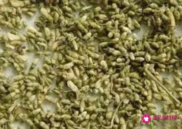 关于槐花茶的功效与作用