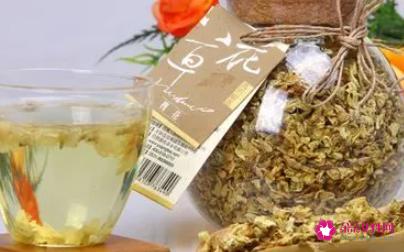 关于槐花茶的功效与作用