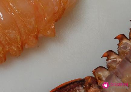 清蒸澳洲龙虾的做法步骤图解