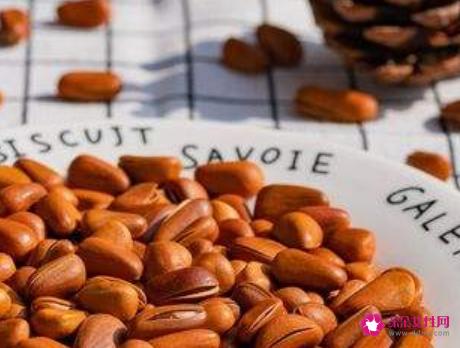 松子的功效与作用有哪些