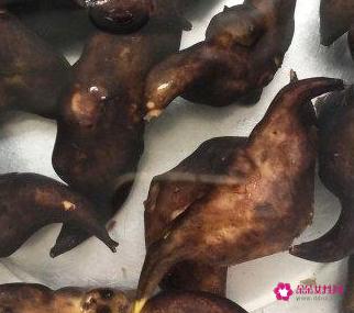 如何煮菱角好吃又简单