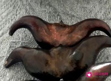 如何煮菱角好吃又简单