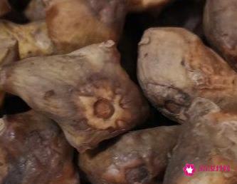 如何煮菱角好吃又简单