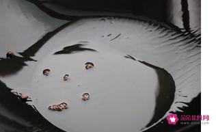 绿豆芽怎么炒最好吃家常做法