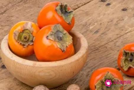 柿子营养有哪些