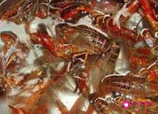 家常蒜蓉小龙虾简单做法