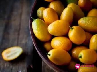 橘子的营养价值及功效与作用