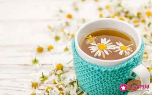 经期能喝菊花茶吗