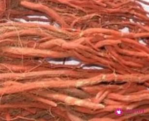 丹参的功效是什么