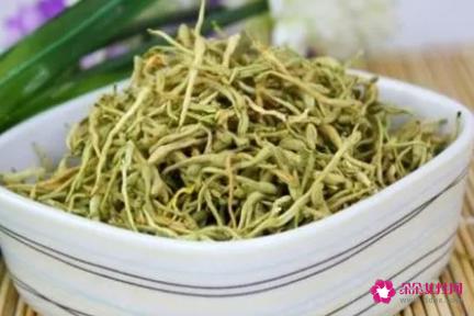 金银花茶的功能和作用