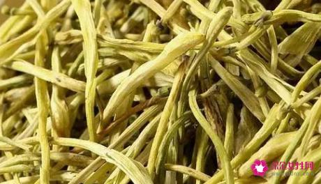金银花茶的功能和作用