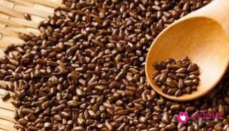 关于决明子泡水喝的功效