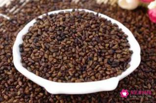 关于决明子泡水喝的功效