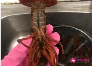 十三香小龙虾的做法