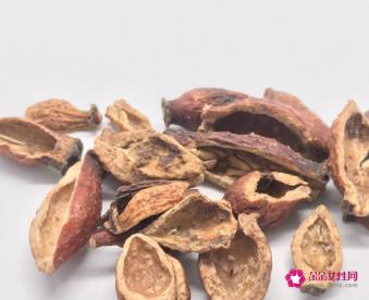 金樱子的功效与作用和用量