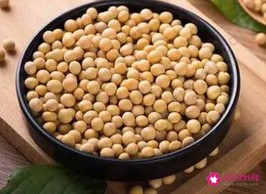 黄豆的功效与作用及营养价值