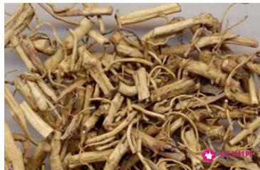 白前的功效与作用