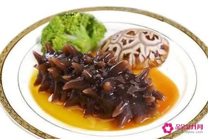 海参的吃法与作用