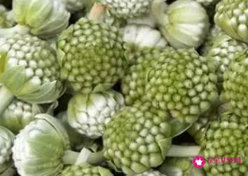绿萝花茶的功效和作用