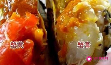 蟹膏是什么东西