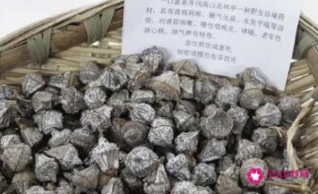 一口盅的功效与作用