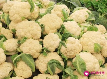 花菜类主要有哪几种