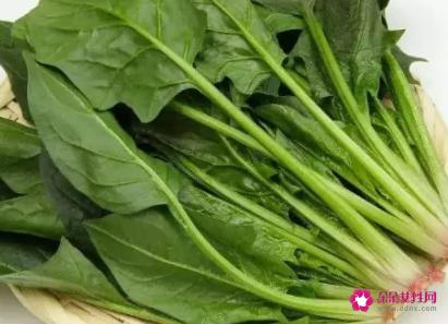 蔬菜种类名称大全