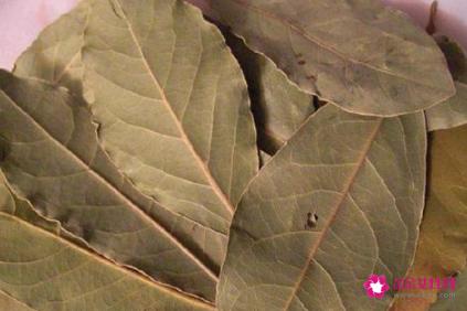 煮猪肉时要放哪些大料