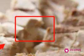 煮猪肉时要放哪些大料