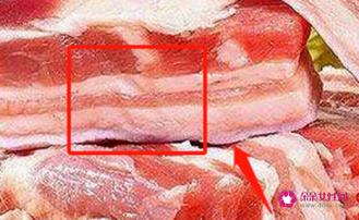 煮猪肉时要放哪些大料