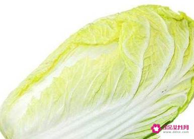 各种菜的营养成分介绍