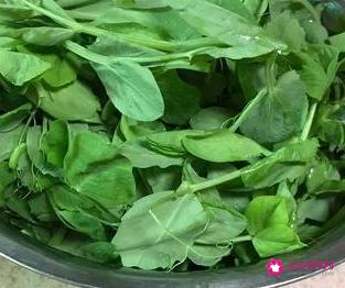 简单营养食谱大全