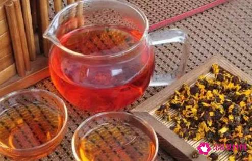 雪菊茶的功效与作用