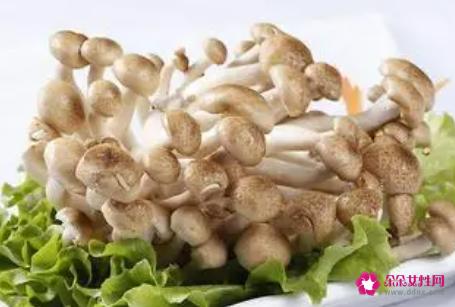 蟹腿菇的营养价值