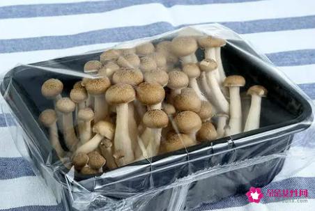 蟹腿菇的营养价值