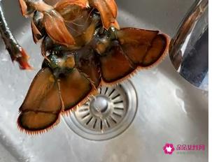 龙虾的做法大全窍门