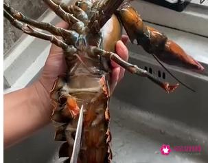 龙虾的做法大全窍门